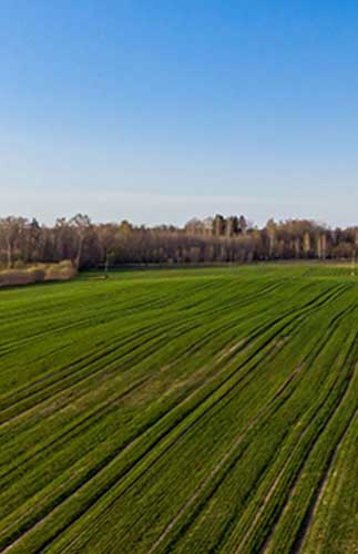 Aerial survey of field Photograph